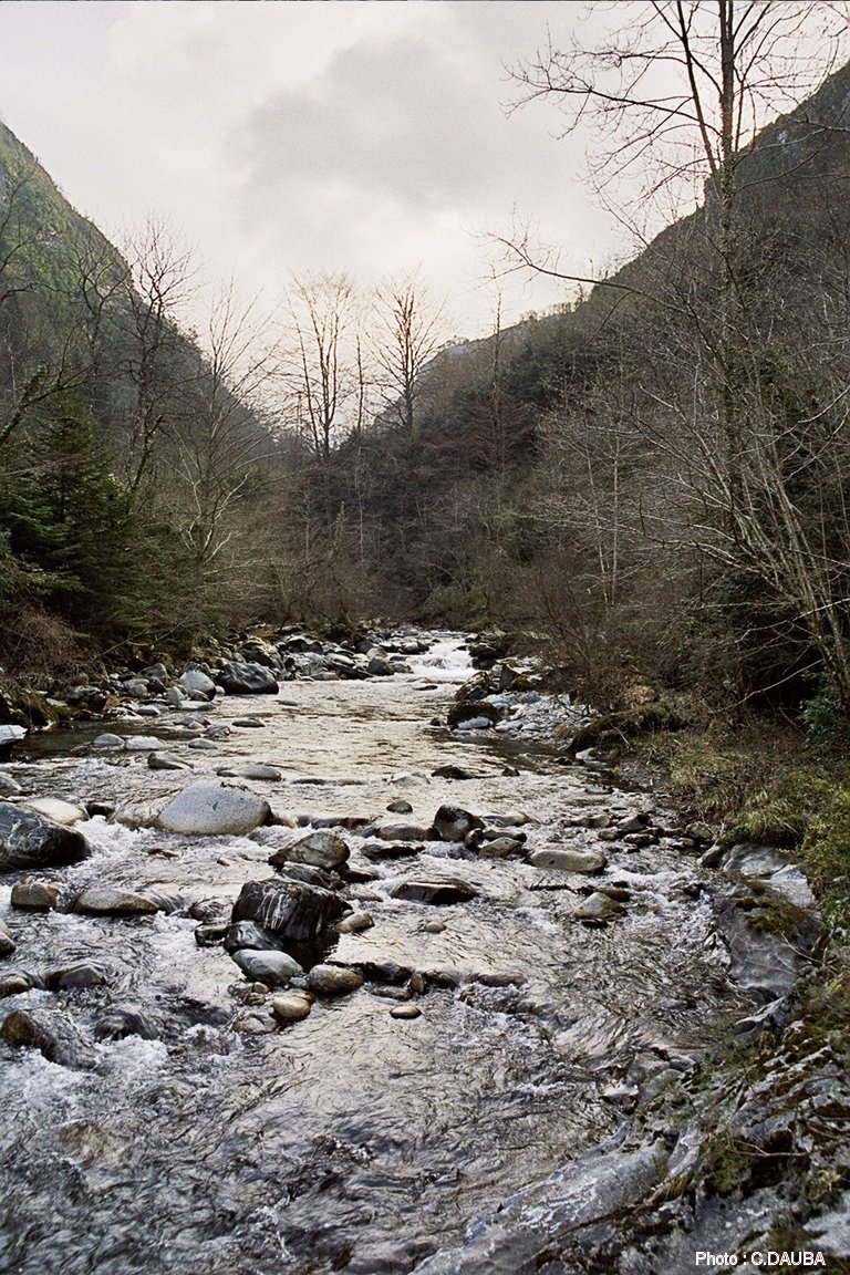Photos avant