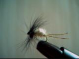 mouche maison